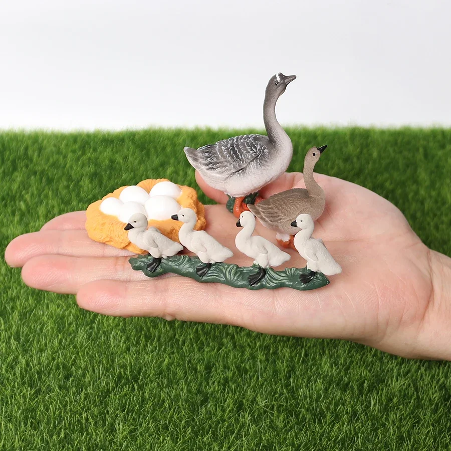 Simulation Poultry Animals Model Figurines The Life Cycle of A Chicken,Rooster,Goose Models Action Figures Educational Toys