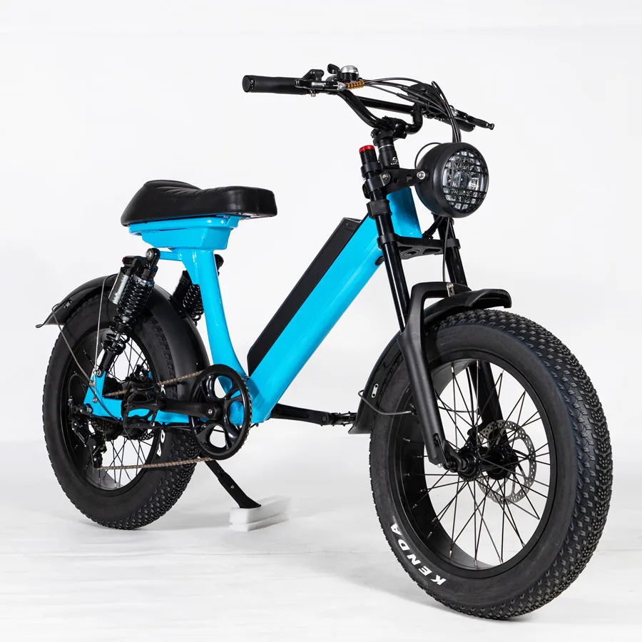 

20 inch 26 inch Fat Tire 4.0 Electric Bicycle Mountain Electric Vehicle 21 Speed Electric Bicycle