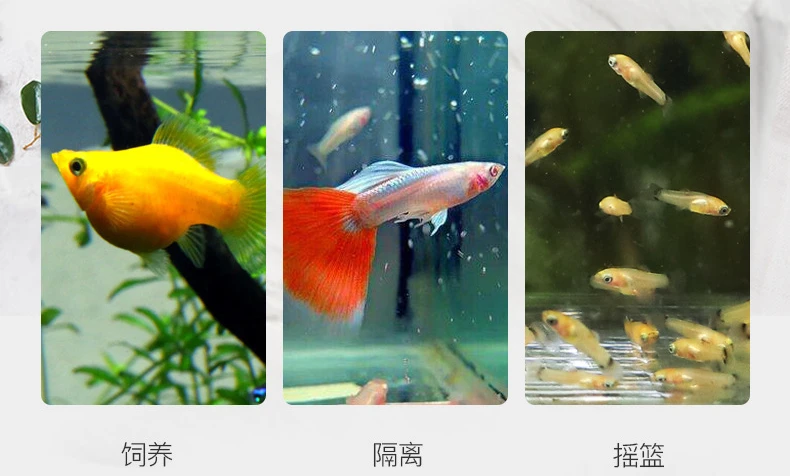Fish Tank Small Fry Breeding Box Acrylic Fish Isolation Box Spawning Hatching Room Fish Supplies Aquarium Accessories