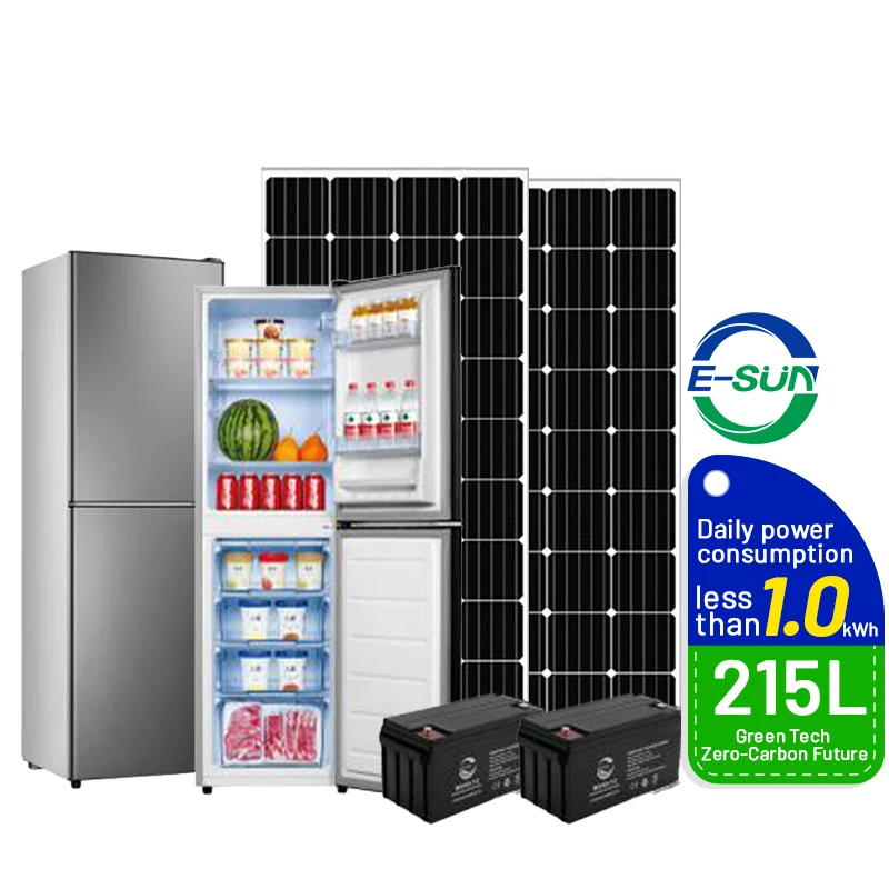 Esun 12v24v Solar Upright 215L Refrigerator Home Use Solar Freezer Fridge With Solar Panel Compatibility