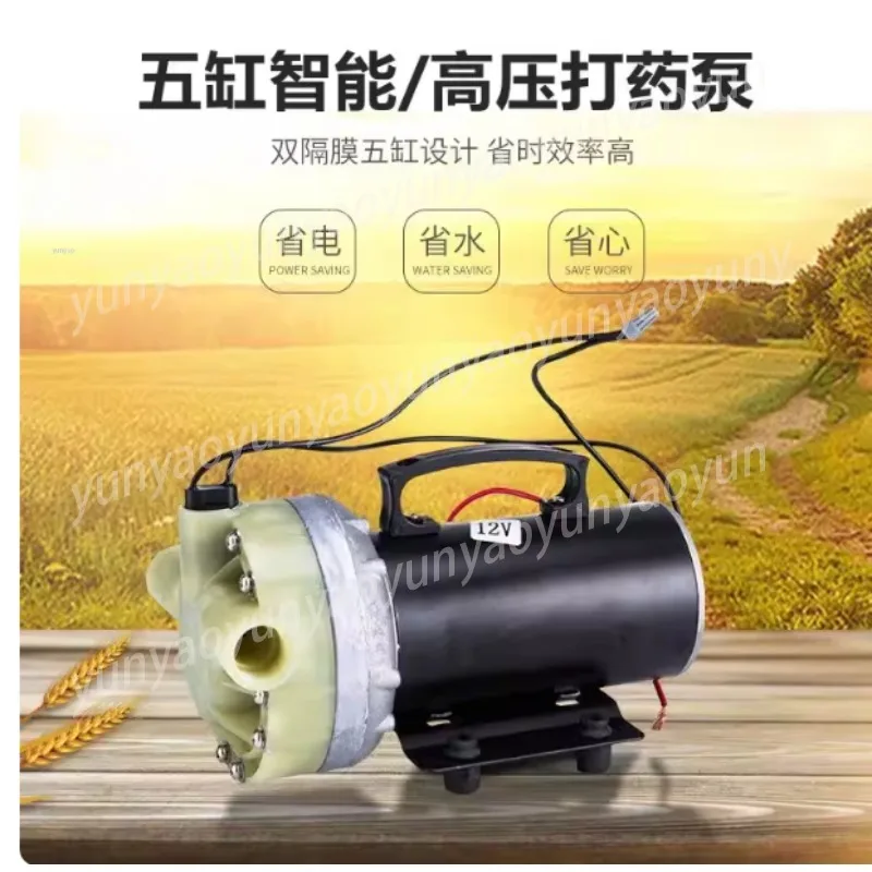 130 Type High Pressure Plane Diaphragm Pump Agricultural Sprayer Water Pump 12V48V