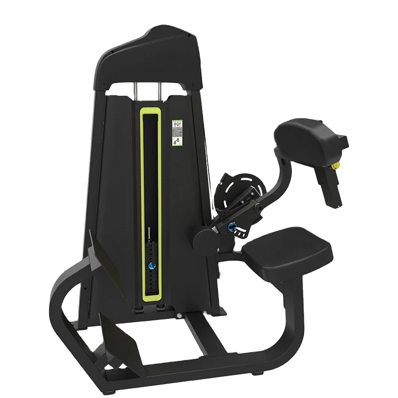 

Commercial Gym Machine Equipment Back Extension Functional Strength Training Fitness11