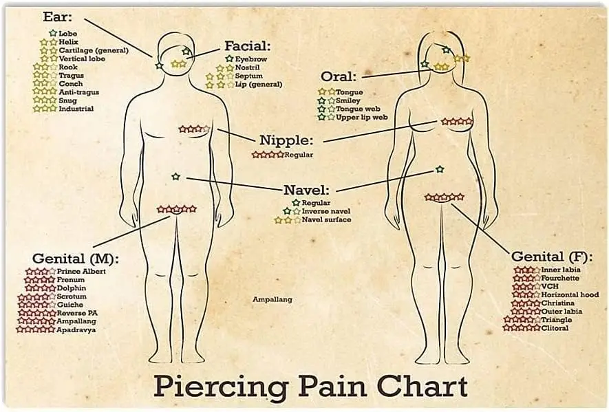 ESETASOT Tableau de la douleur des piercings, Plaques métalliques décoratives murales, Affiche rétro sur la connaissance du piercing corporel, Guide de référence pour artistes tatoueurs