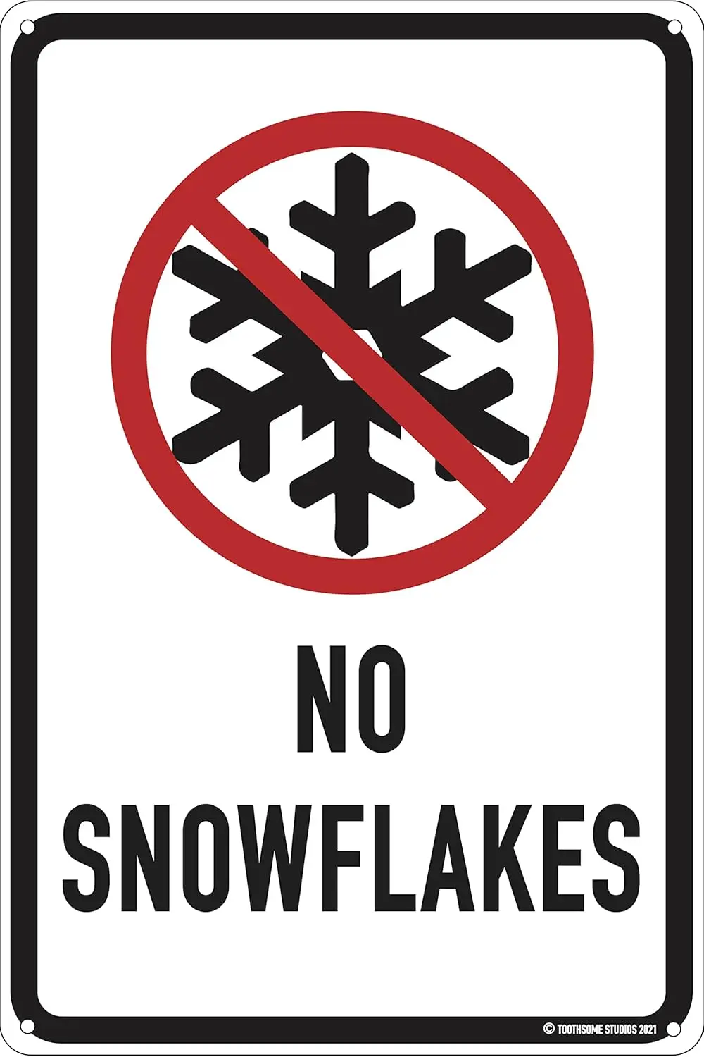 No Snowflakes 12
