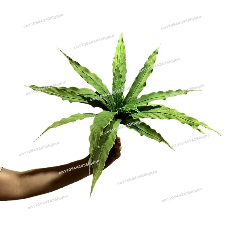 Simulation Fern 15 Pieces Bird's Nest Fern Green Fern Outdoor Plant Wall Matching Material Wedding Decoration Persian Leaves