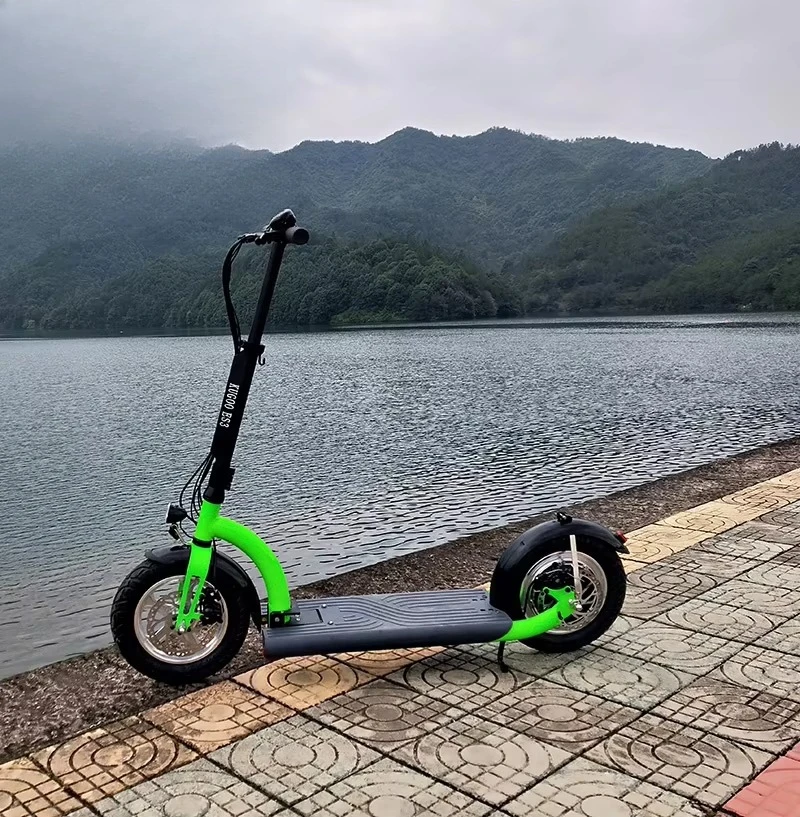 36V 300W Brushless Electric Motorcycle 12 Inch Lightweight Folding Powerful Adult