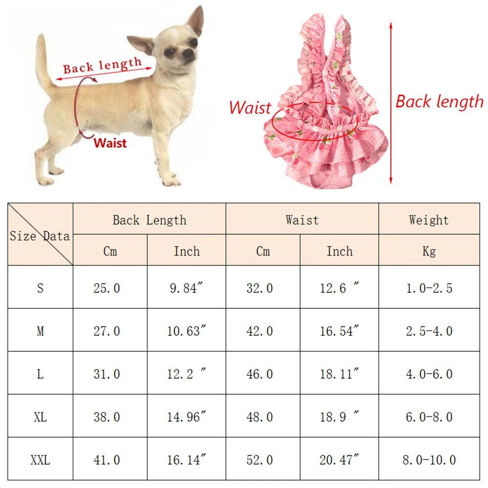 Newest Female Dog Physiological Pants Cute Print Pet Underwears for Small Dogs Cats Chihuahua Yorkshire Puppy Clothing Outfit