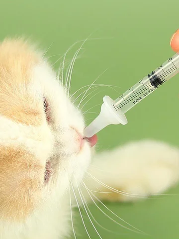 1set-Newborn Kitten Feeding Set - Pet Bottle and Cat Milk Dispenser - Various Varieties