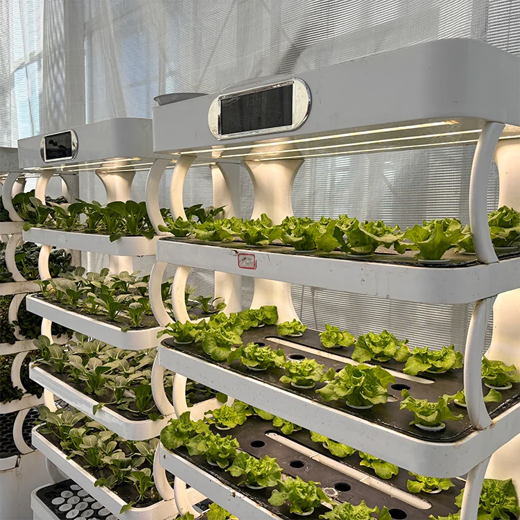 Intelligent Indoor Garden Planter - Smart Vertical Hydroponic System with LED Grow Light for Home Vegetable Year-Round Growing view 3