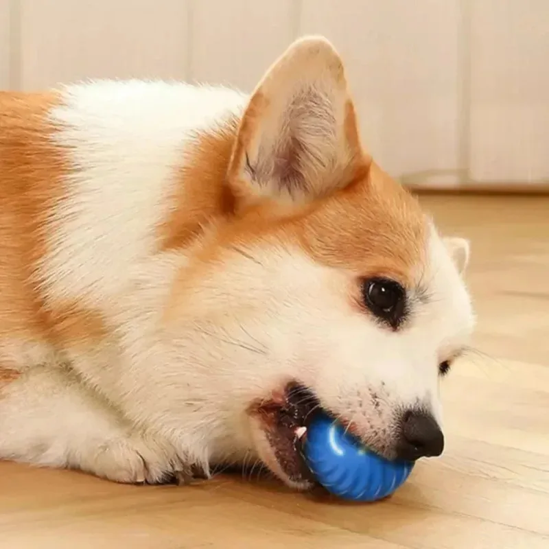 Smart Automatic Moving Dog Ball 3