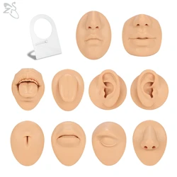 AOEDEJ 1 Piece Soft Flexible Silicone Flesh Color Human Body Models Puncture Display Tool Nose Ear Mouth Tongue Wearing Tools