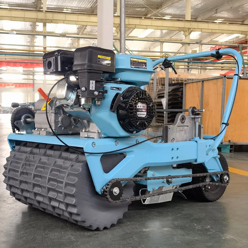 Multifunctional fine seeder Agricultural cabbage Rape on-demand machine Radish coriander  vegetable planter