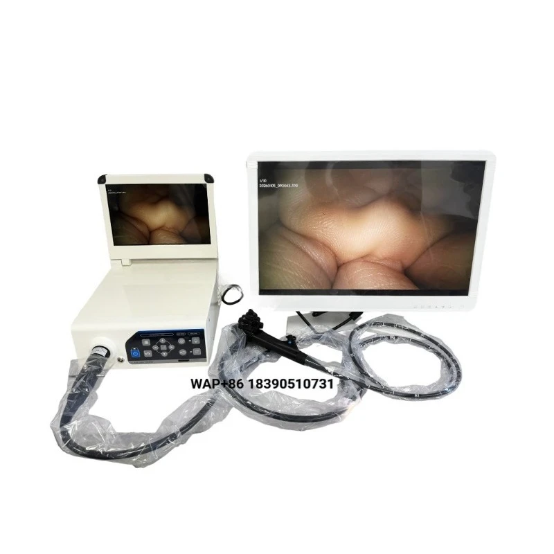 Factory sells integrated veterinary systems, high-resolution veterinary endoscopes, pet endoscopes, animal pet video endo