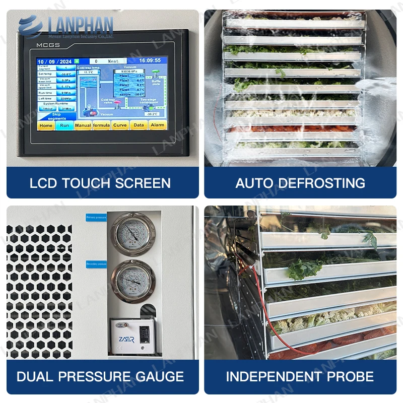 Commerciale 5M2 HFD-50plus 18 Vassoi Veleno di Serpente Alimenti Frutta Verdura Caramelle Liofilizzatore Sottovuoto Lanphan Essiccatore di Congelamento Industriale