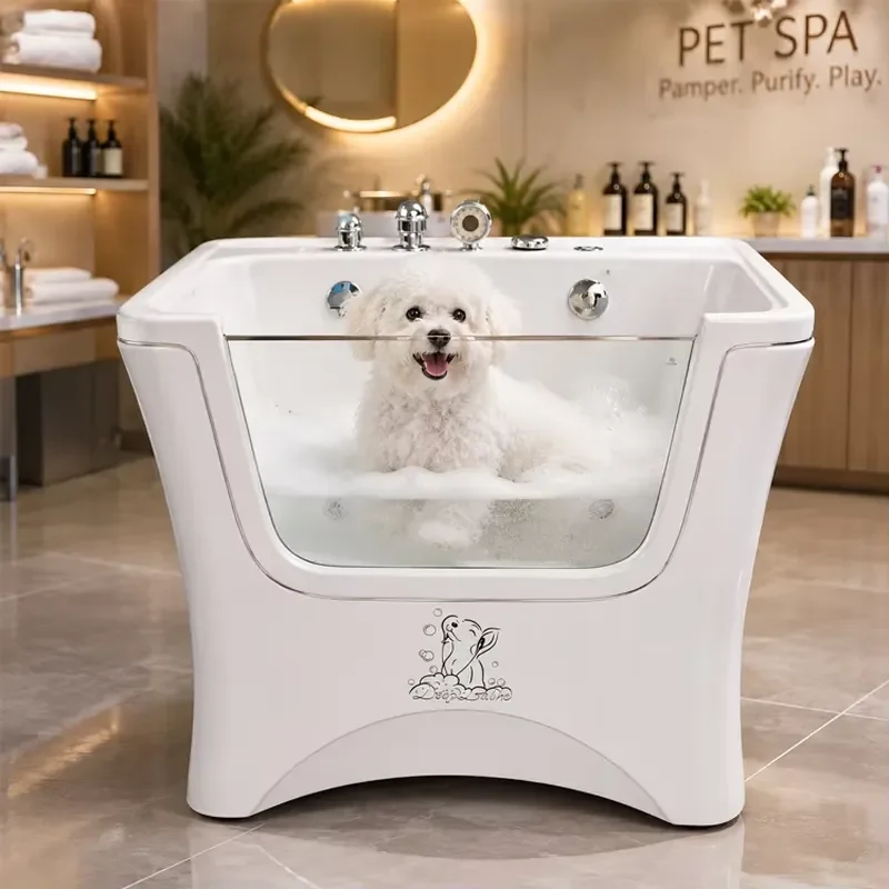 Premium Dog Spa Bathtub for Visual Hydro-Massage Transparent Acrylic Modern Luxury Viewing