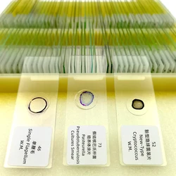 100Pcs Microbiology Microscope Prepared Slides for Educational Teaching Aids