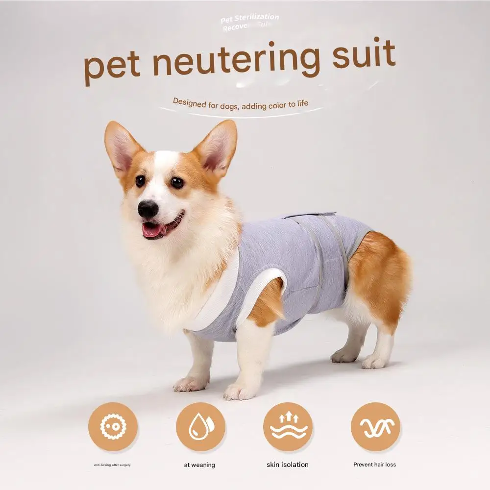 Shiba Inu Corgi male and female dog sterilization clothing, post-operative clothing, thin, anti-shedding and anti-licking