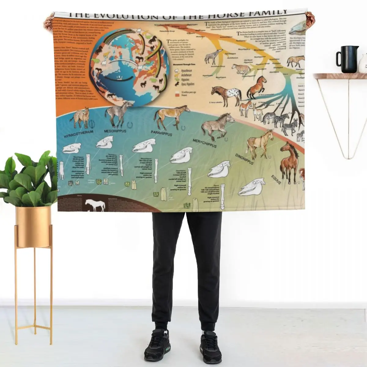 

Horse Evolution Throw Blanket Cozy Light Blanket for Travel Camping Picnic