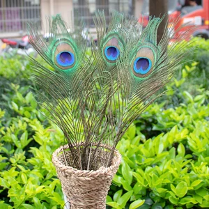 أعلى 5 مبيعات مزهرية ريشة الطاووس - No2