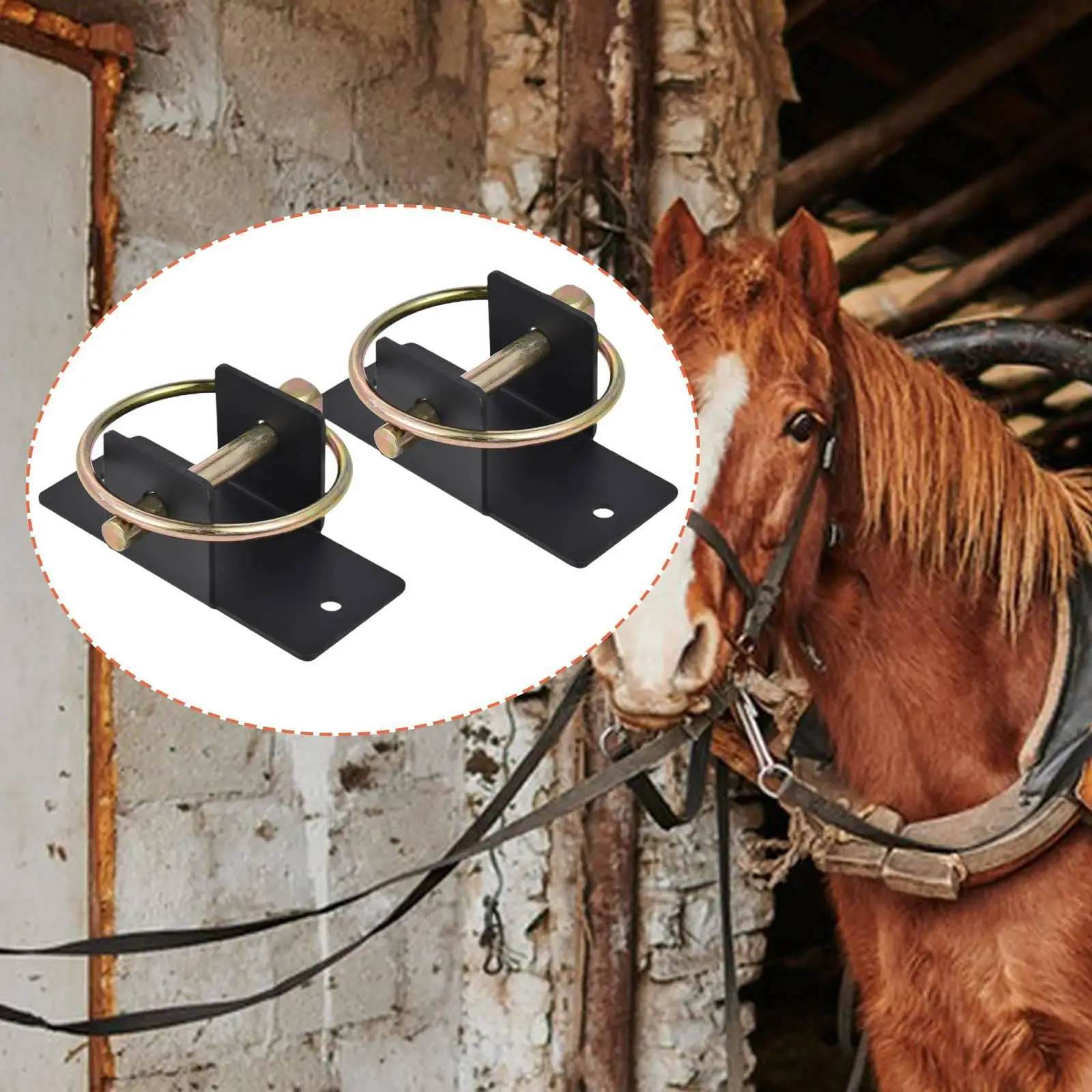 Equestrian Water Bucket Hooks Steel Heavy Bucket Bracket with Pin for Stable Pet Feeding Tack Room