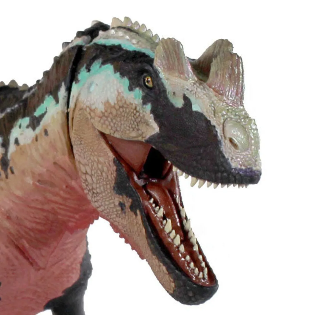 Beasts of the Mesozoic Studio 1/18th Scale Ceratosaurus Dentisulcatus Model Collection Scene Decoration Action Figure Gift view 2