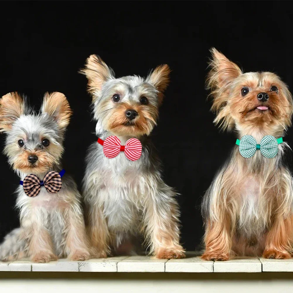 Thumbnail 2 - #85 Top Pet Grooming Supplies Picks for Every Budget