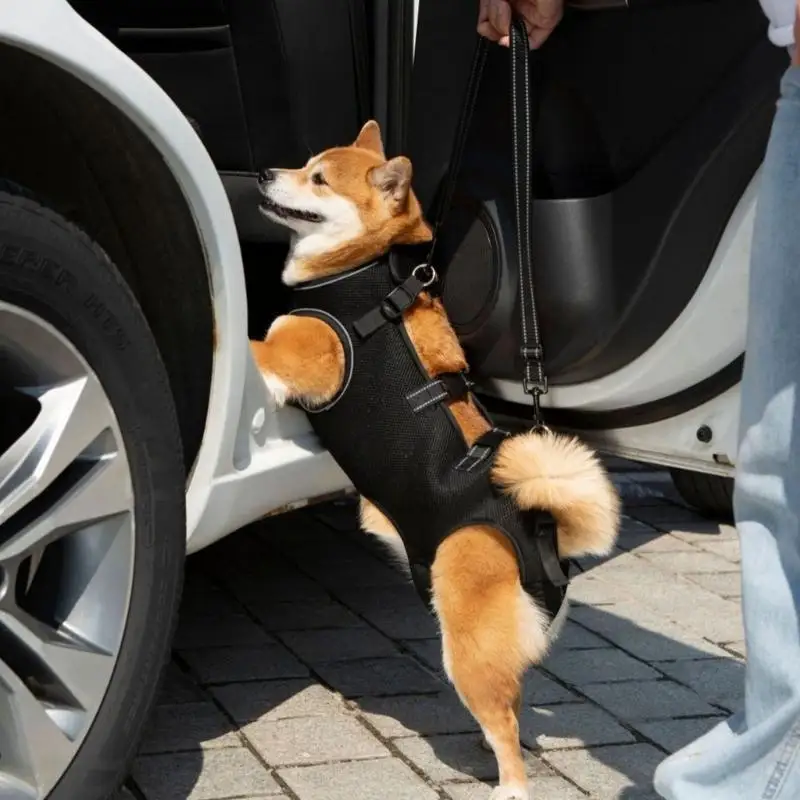 Harnais soutien pour chiens handicapés R9UF, sangles d'assistance pour animaux compagnie, avec Support dorsal réglable,