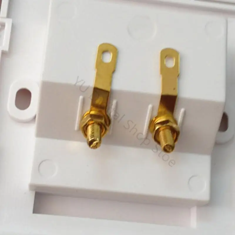 96BA Speaker Wire Termination Wall Plate with Two Binding Post Contacts