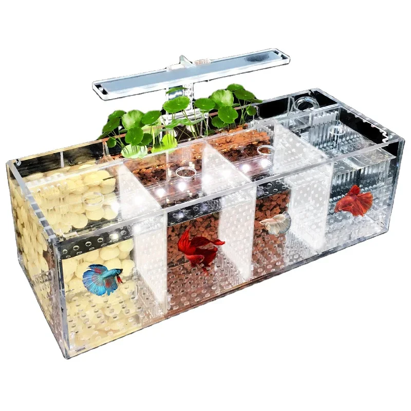 Desktop Mini Fish Tank Multi-chamber Water Pump Hot Sale Ecological Aquarium