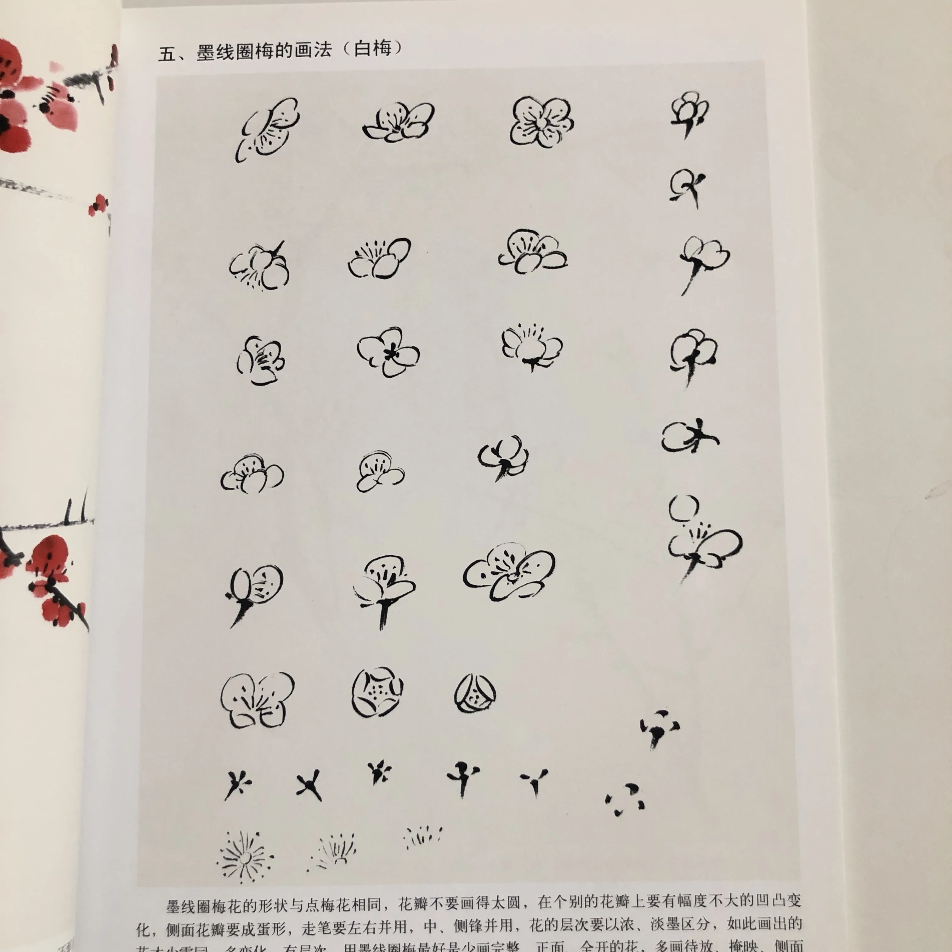 Plum Blossom Coloring Methods: Xieyi Style Ink Wash & Pigment Blending Tutorial