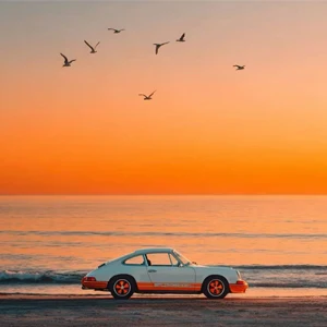 

Возврат разницы в цене и выпуск замены