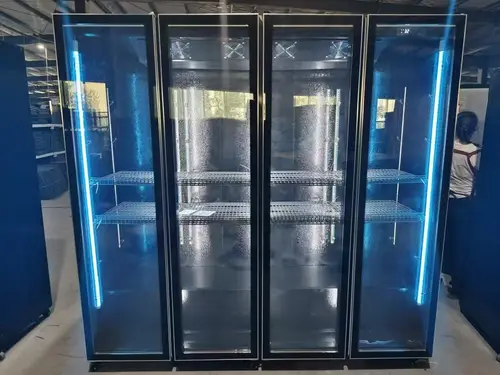 Congelador Vertical Para Cerveza, Exhibidor De Jugos,
