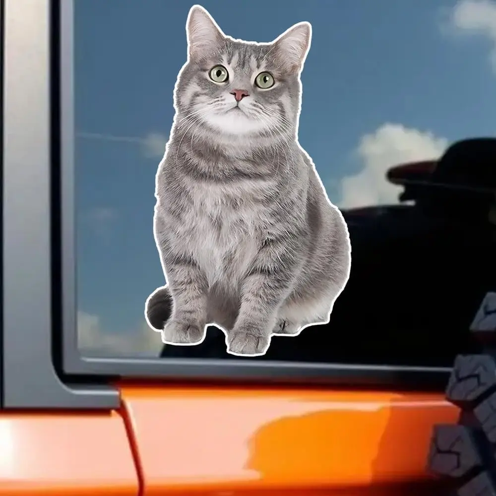 1Pc 2D Flat Grey Kitten Waterproof Vinyl Sticker, Cute Pet Decal For Car Motorcycle Laptop Wall Window Decor