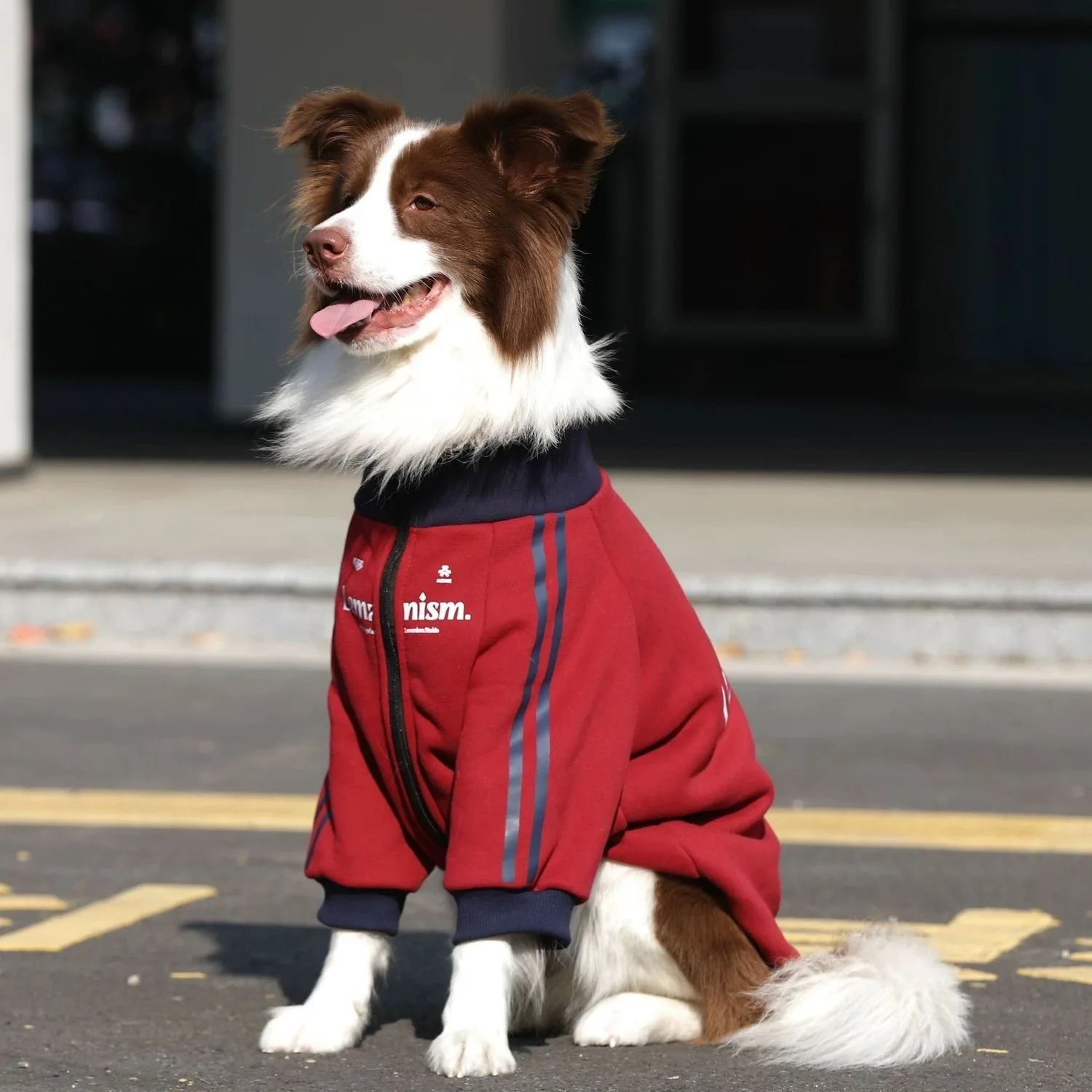 Warm Fce Lined Dog Jaet for Medium to Large Dogs Sli Autumn Winter Coat for Golden Retriever Labr And Other Breeds