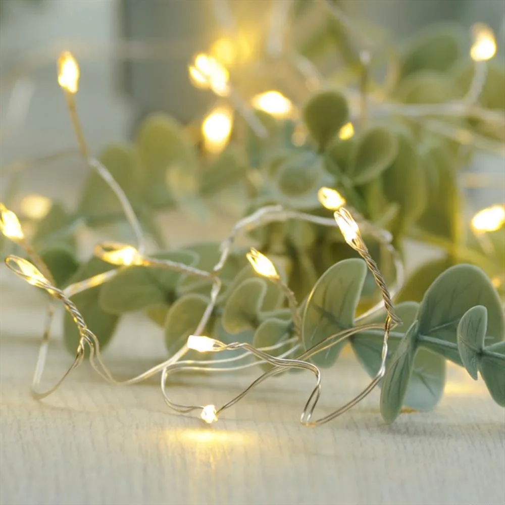 1000Led Fairy Lights String Cluster Intdoor Bedroom Tree Christmas Lights Garden Remote Control Wedding Decoration Party Holiday