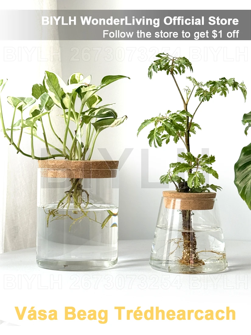 Nordic Hydroponic Plant Vase Creative Volcanic Bottle Transparent Glass Home Decor Vases Tabletop Flower Arrangement Ornaments
