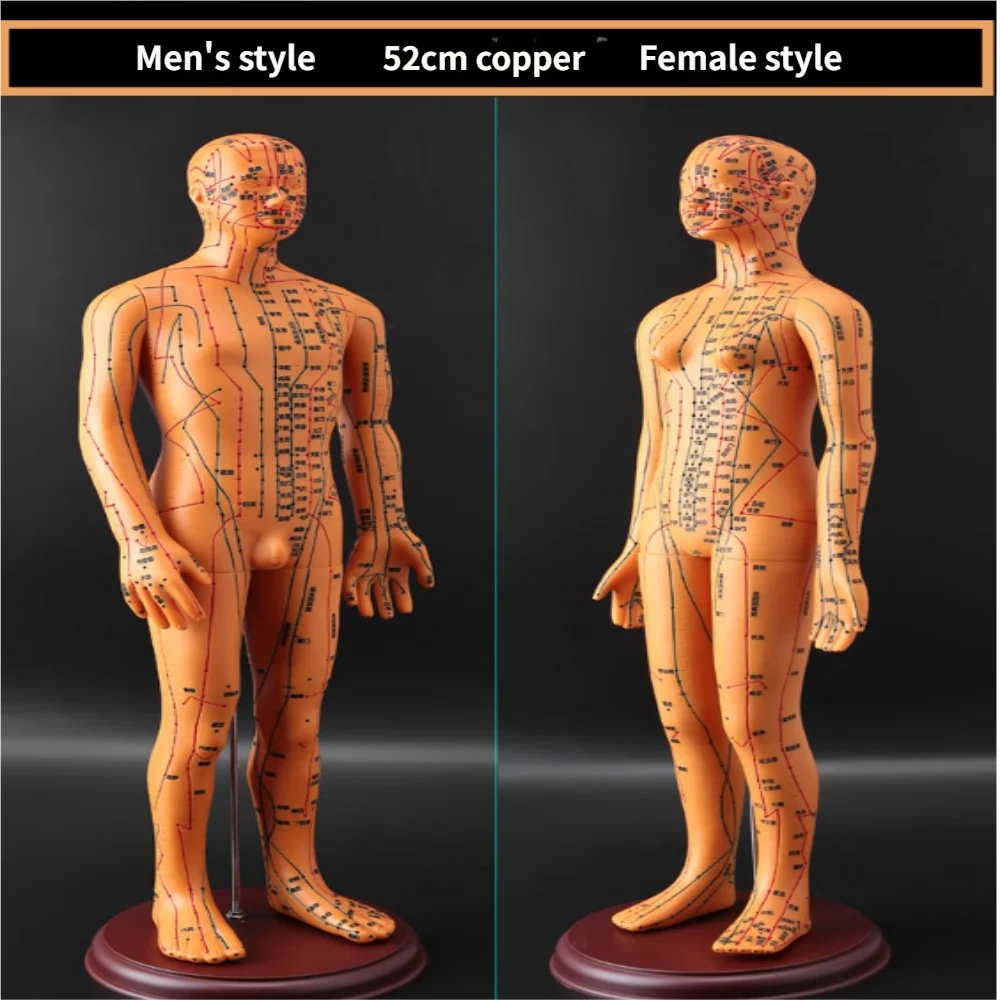 52CM Soft Human Body Acupuncture Model Man/Woman Meridians Model Chinese Medicine Teaching Medical Education Appliances 2Color view 2