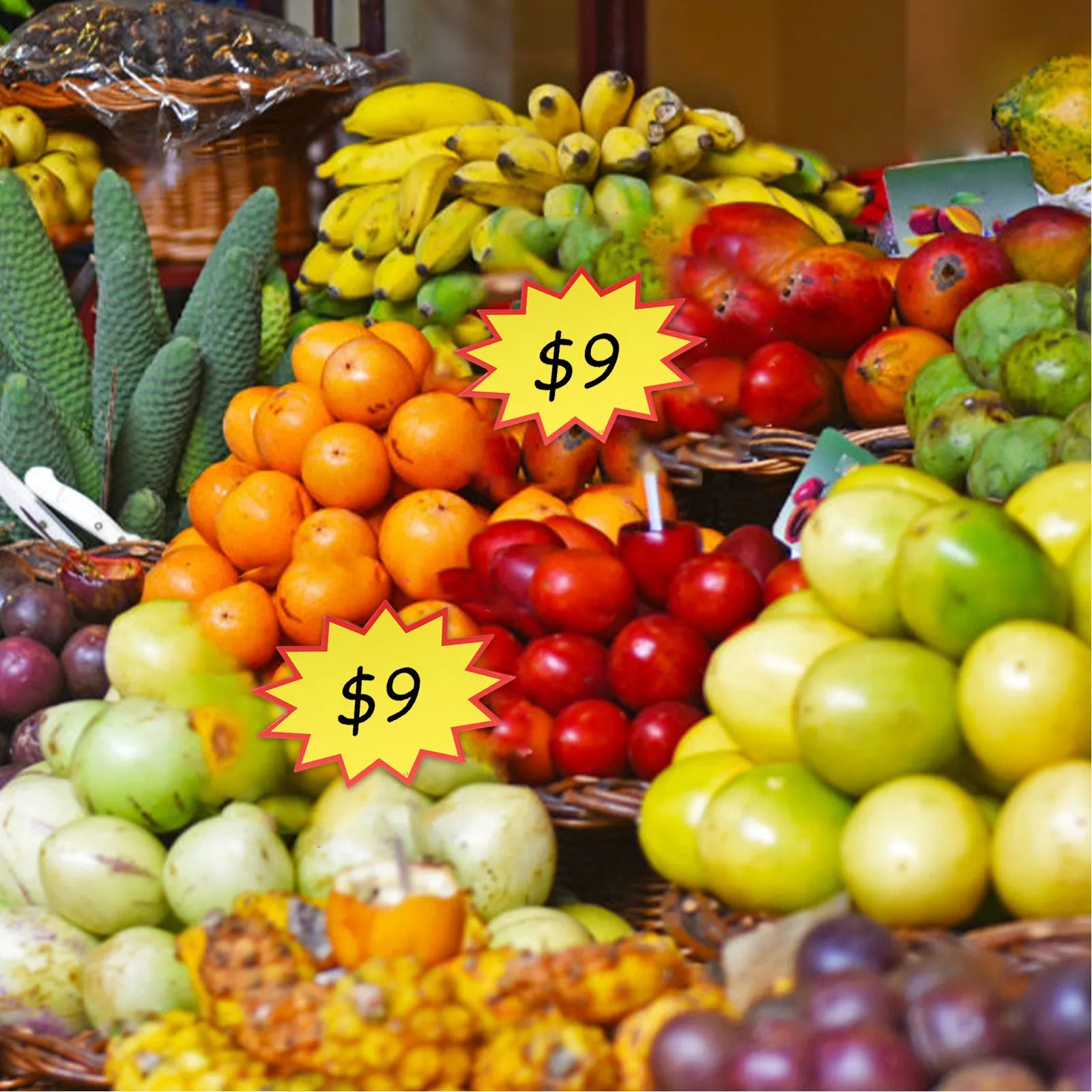 200Pcs Price Labels Signs Paper Price Tags for Retail Store Supermarket Clothing Fruit Vegetable Shelf Display Use