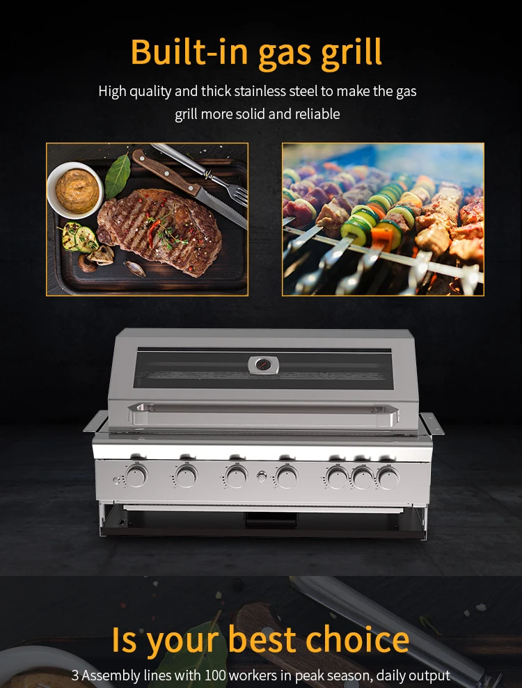 Automatic Ignition 6 Burners Gas Built-In BBQ Grills Stainless Steel Barbecue Grill Body