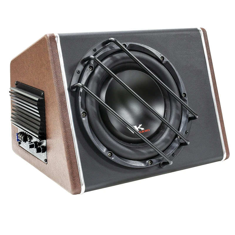 Big Power Car Subwoofer with Amplifier