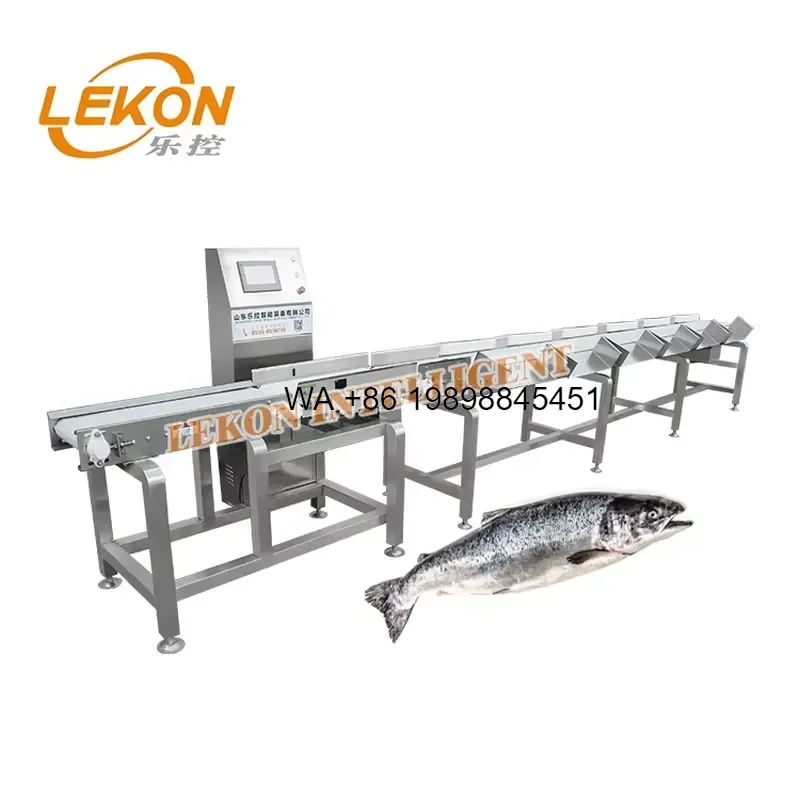 Wmwmnu Automatic Seafood Fish Salmon Whole Chicken Weight Grading for Industrial Food Processing Sorting and