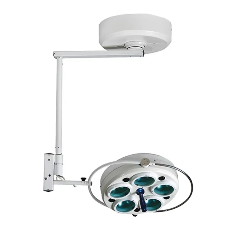 

Ceiling Mounted Hole Type Cold Light 12 Holes Halogen Surgical Shadowless Lamp for Animal Care and Supplies