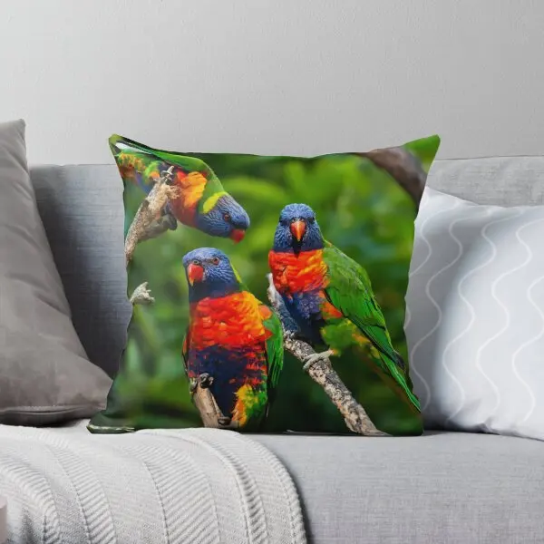 Rainbow Lorikeet Love Australian Birds  Printing Throw Pillow Cover Throw Square Car Fashion Anime Pillows not include One Side