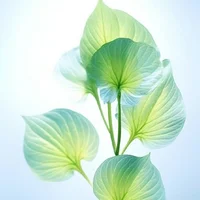 

MJX 10208 V1 1/10 RC Car Metal Upgrade Reinforced Front and Rear Drive Shafts