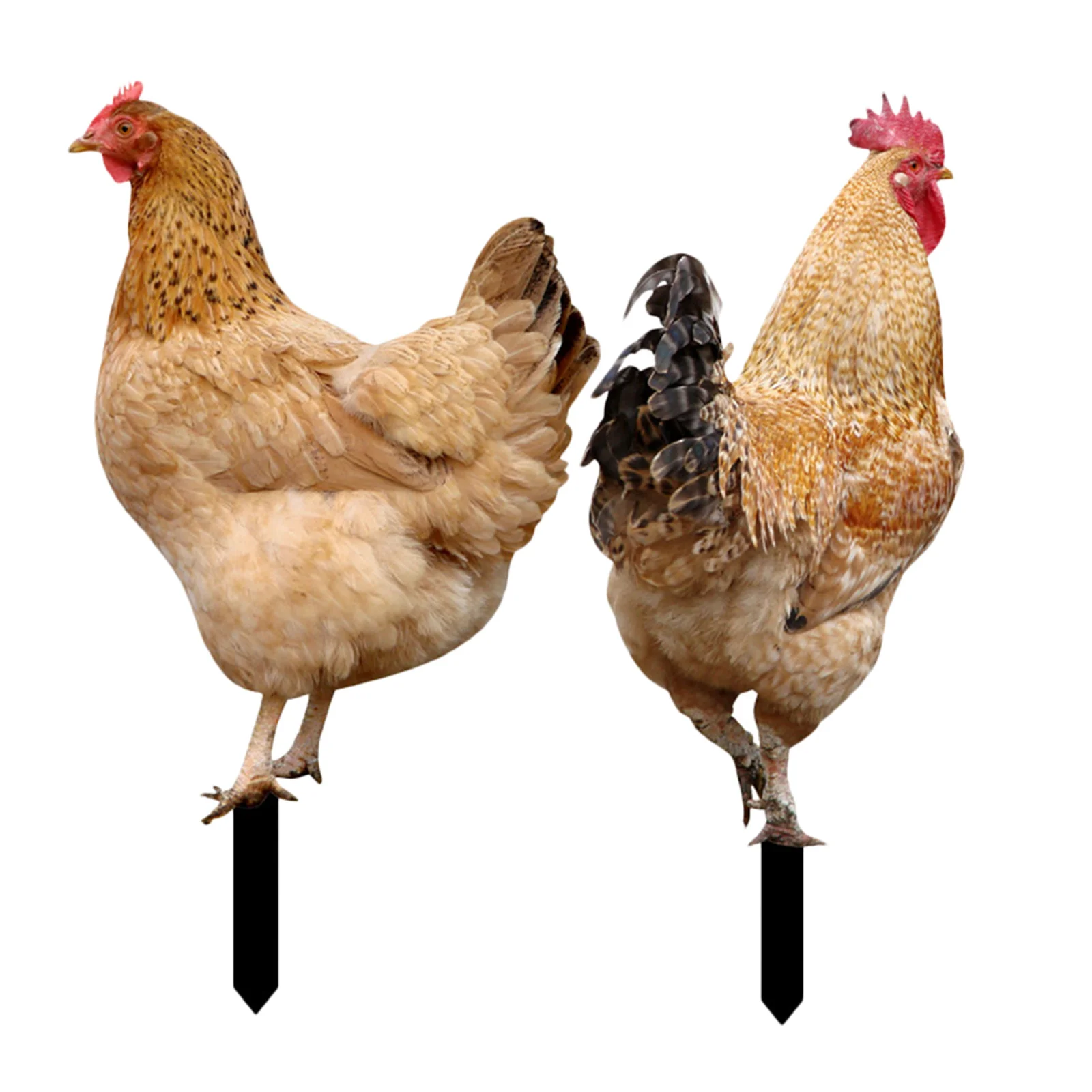 

2Pcs Acrylic Garden Chicken Stakes Decorative Yard Inserts Outdoor Lawn Ornaments Weatherproof Garden Animal Decor