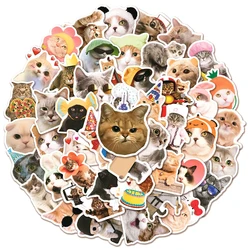 10/30/50pcs Cute Cat Meme Pet Stickers Kawaii Animals Cartoon Sticker DIY Kids Toy Phone Case Refrigerator Suitcase Decals Gift