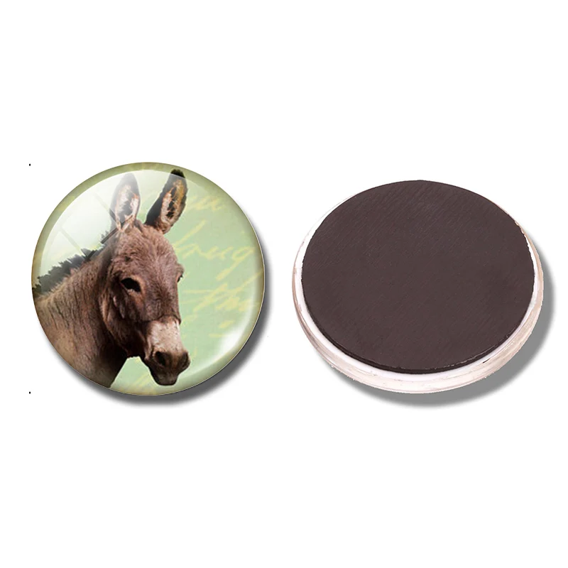 1p Donkey 30 MM Fridge Magnet Donkey Animal Lover Gift Glass Cabochon Magnetic Refrigerator Stickers Note Holder Home Decoration