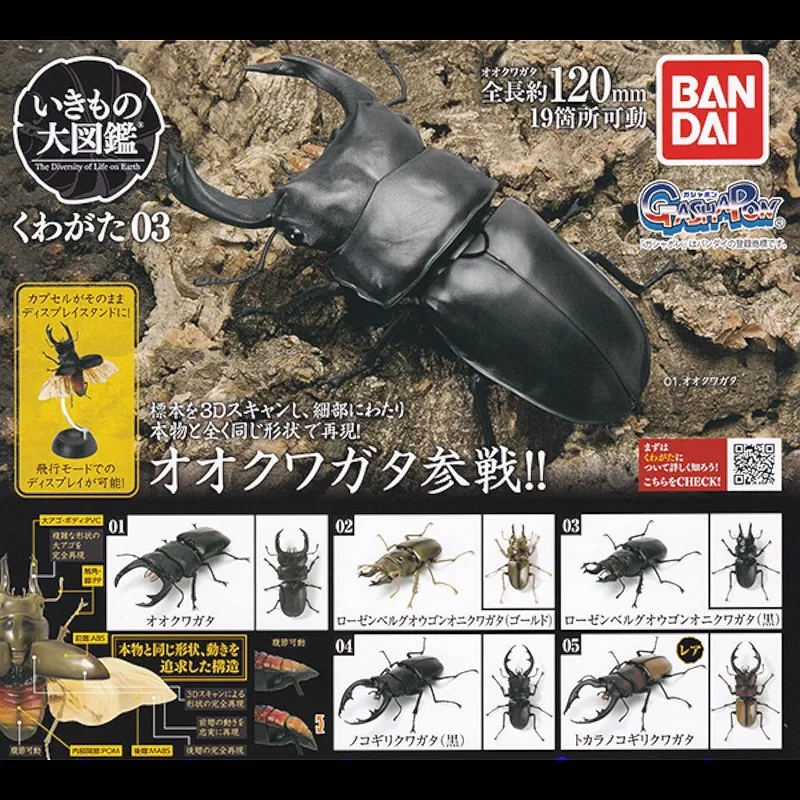 

BANDAI Japan Gashapon Figure Anime Cute Assembled Beetle Model 03 Insect Unicorn Fairy Kawaii Capsule Toys Figurine Gift