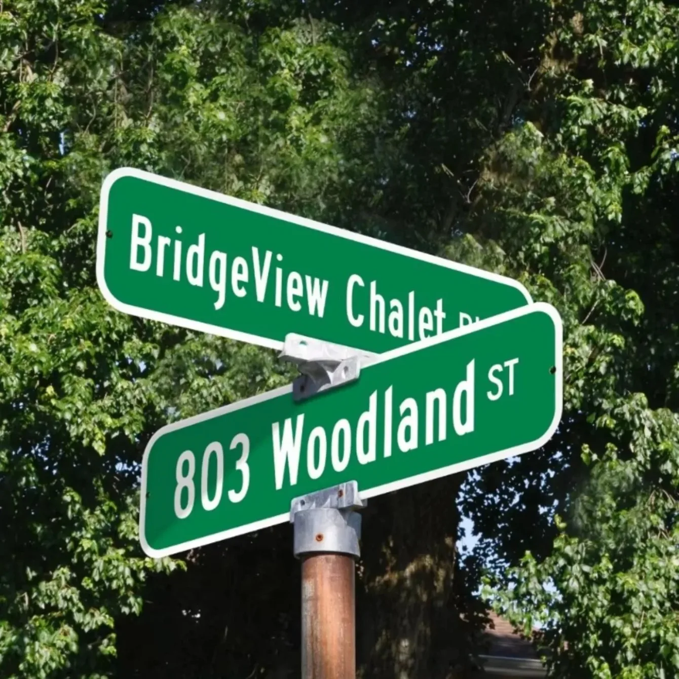 Personalized Green Street Sign (Customizable) - Custom Exclusive Metal Sign with Custom Text, Ideal for Outdoor Decor.