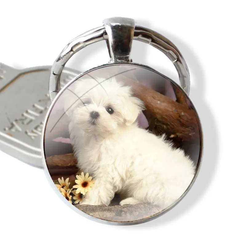 My Maltese Dog 25mm Glass Cabohcon Keychain Key Rings for Women Men Jewelry Gift